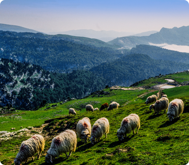 Voyager en Pyrénées Atlantiques avec maladie rénale réserver séances de dialyse Maison du Rein 64